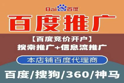 竞价推广实战：经典案例深度解析